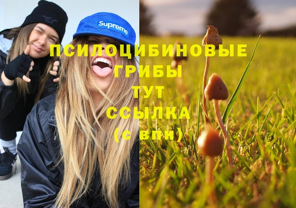 mdpv Алексин