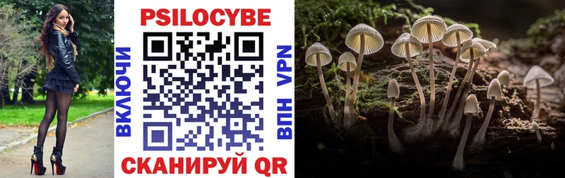 Галлюциногенные грибы Psilocybine cubensis  закладки  Изобильный 